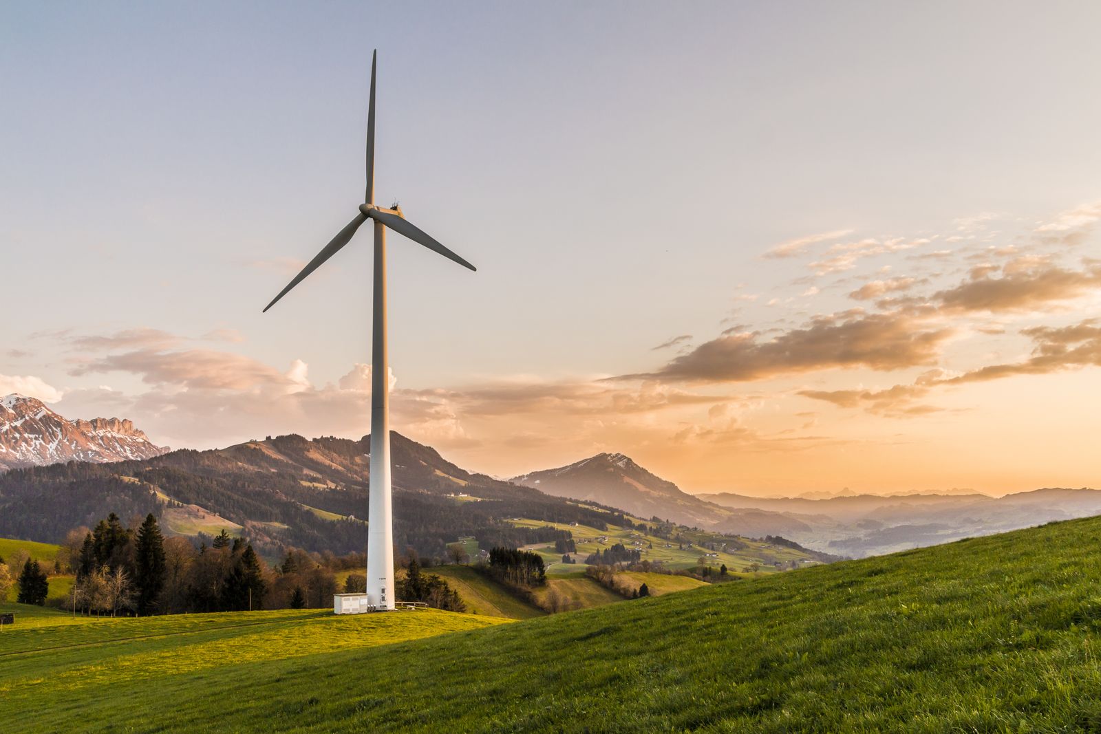 Vietnam's Carbon Market: Quotas, Carbon Credits and Where SMEs Stand (2026)